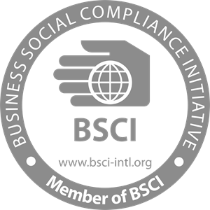 bsci-logo-9A2B890575-seeklogo.com